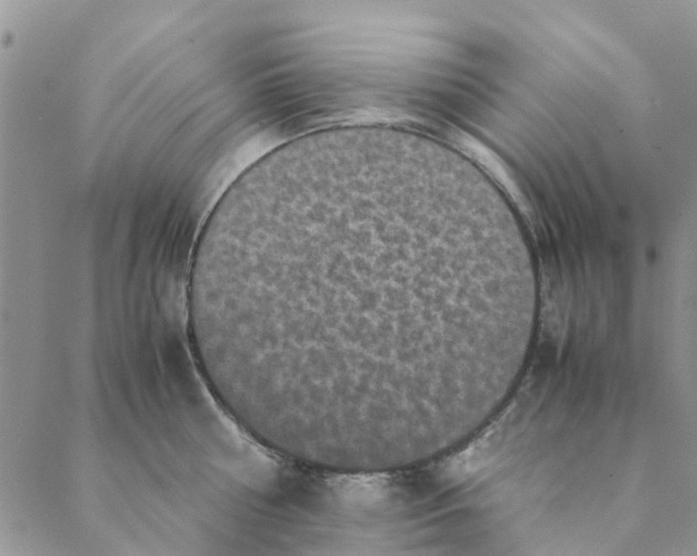 X0000088400810200706121233