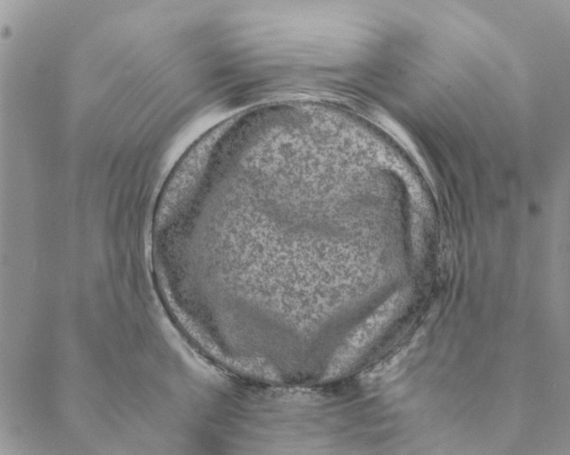 X0000088400811200706121233