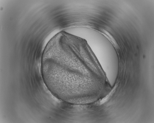 X0000088400812200706121233