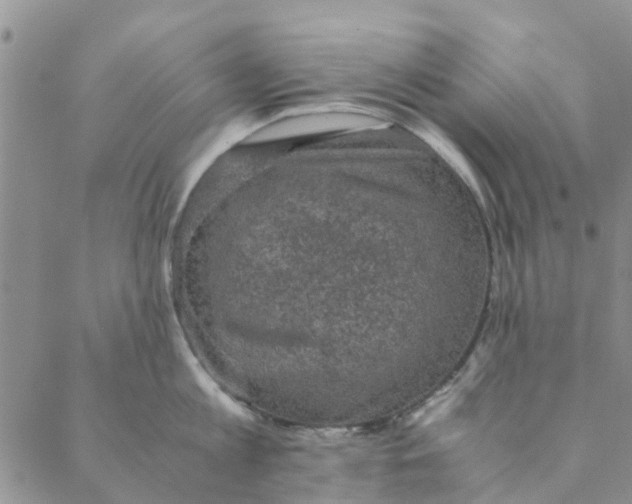 X0000088400813200706121233