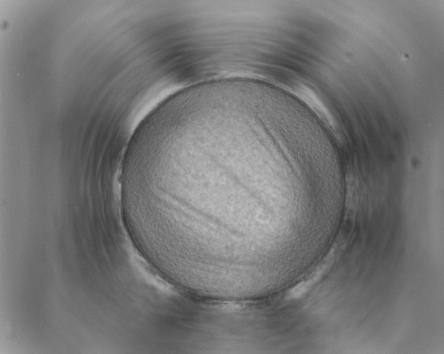 X0000088400814200706121233