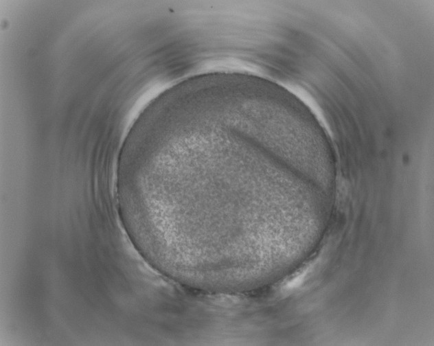 X0000088400815200706121233