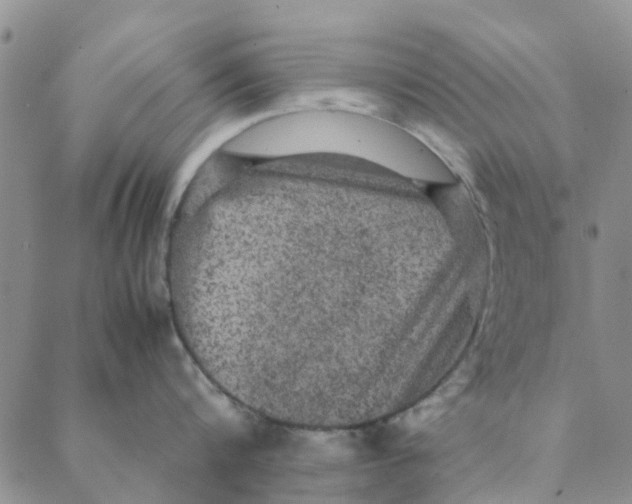 X0000088400816200706121233