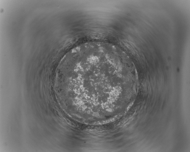 X0000088400817200706121232