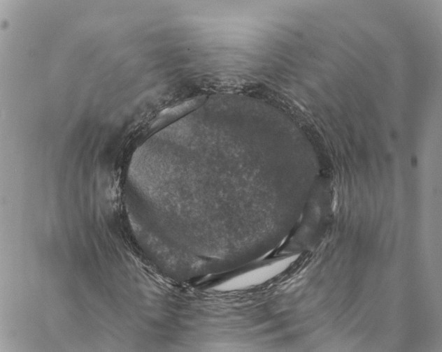 X0000088400818200706121232