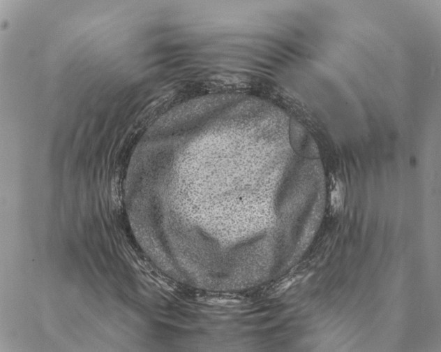 X0000088400819200706121232