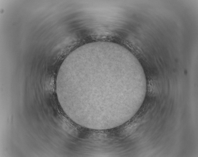 X0000088400820200706121232