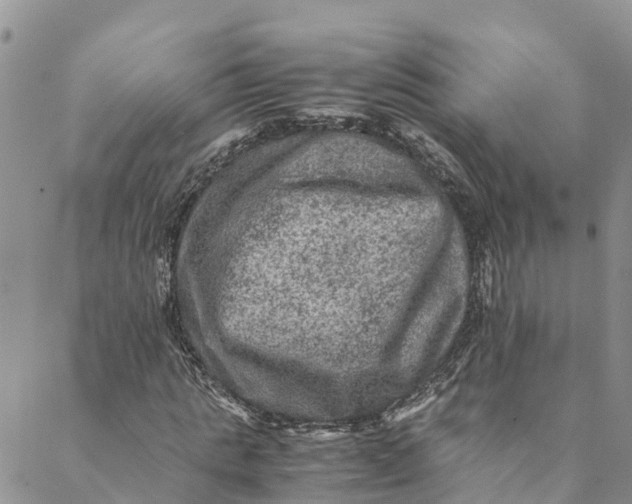 X0000088400821200706121232