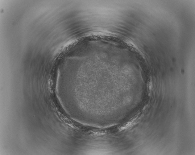 X0000088400822200706121233