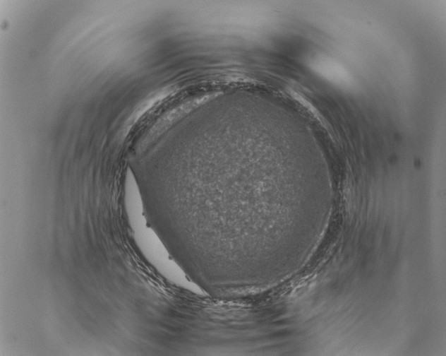 X0000088400823200706121233