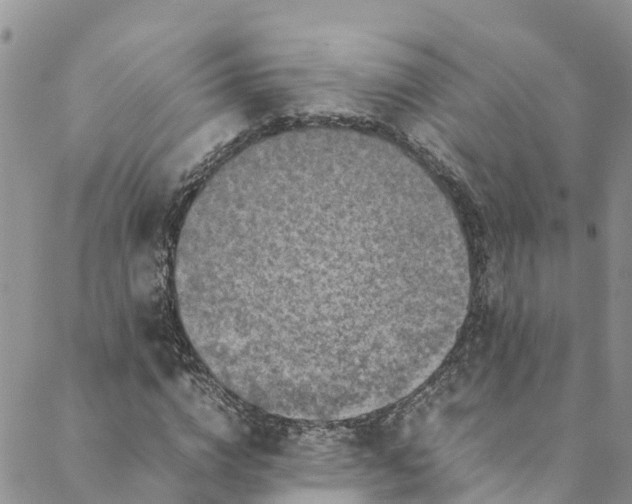 X0000088400824200706121233