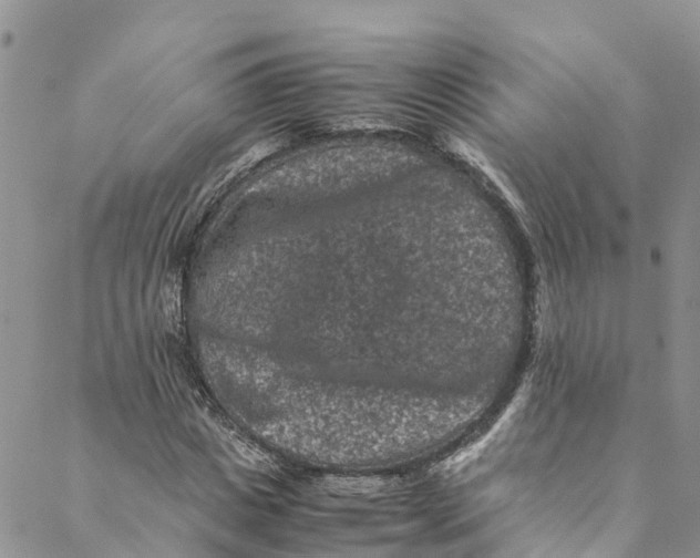 X0000088400825200706121233