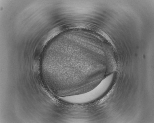 X0000088400826200706121233