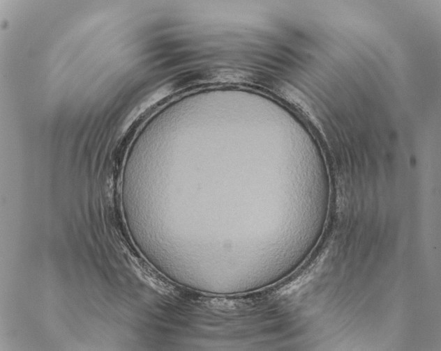 X0000088400827200706121233