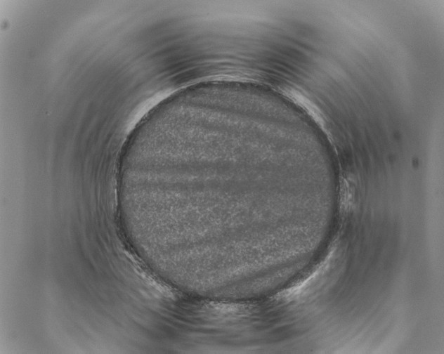 X0000088400829200706121233