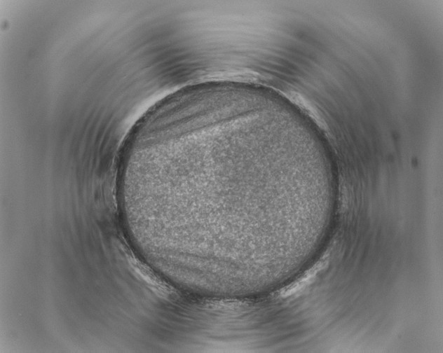 X0000088400830200706121233