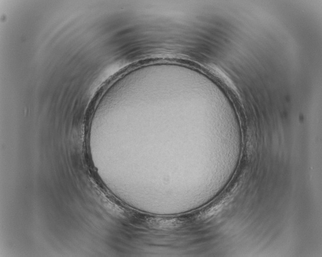 X0000088400831200706121233