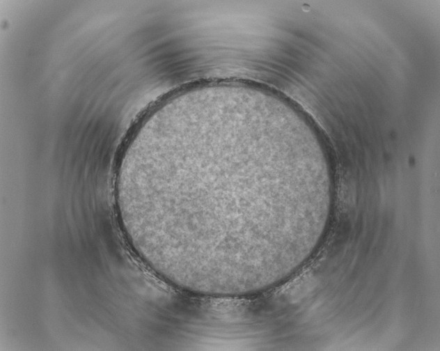 X0000088400832200706121233