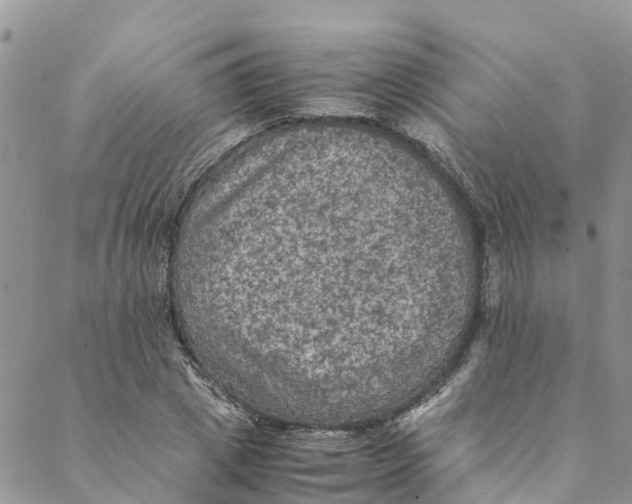 X0000088400833200706121233