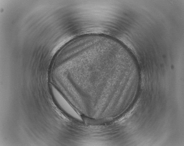 X0000088400834200706121233