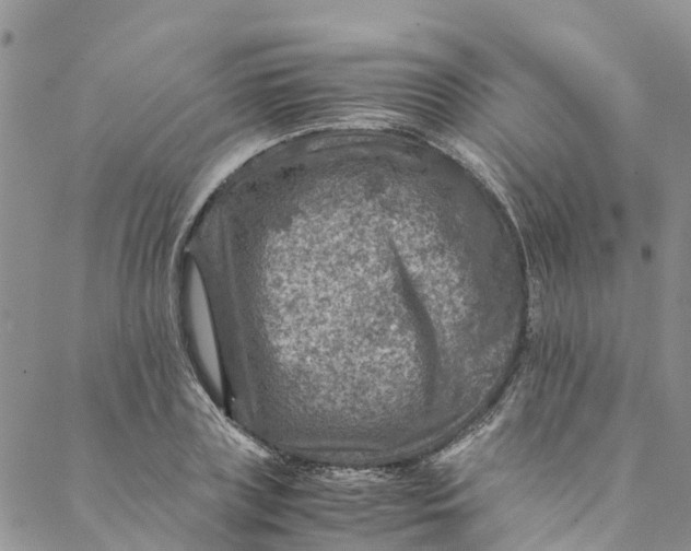 X0000088400835200706121233