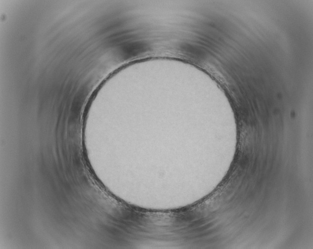 X0000088400836200706121233