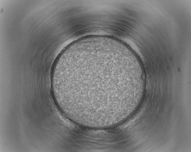 X0000088400837200706121233