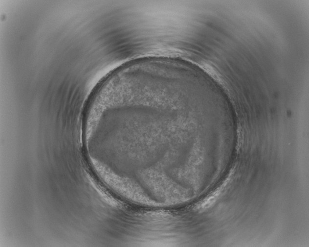 X0000088400838200706121233