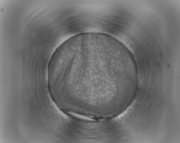 X0000088400839200706121233