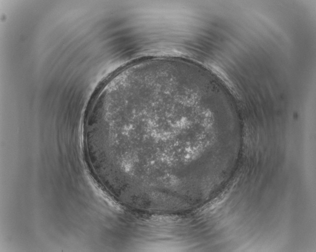 X0000088400840200706121233