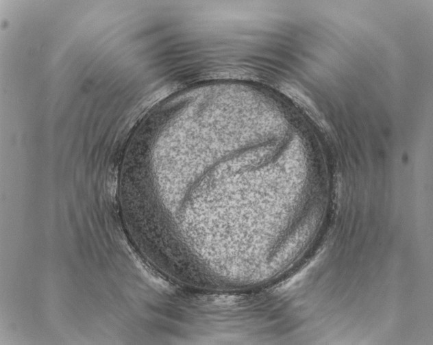 X0000088400841200706121233