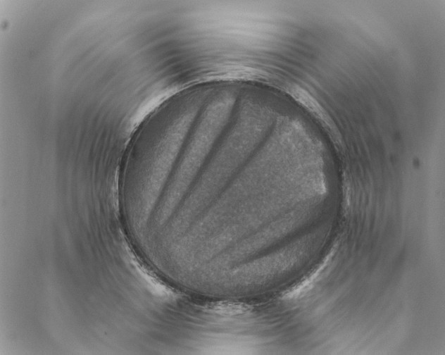 X0000088400842200706121233