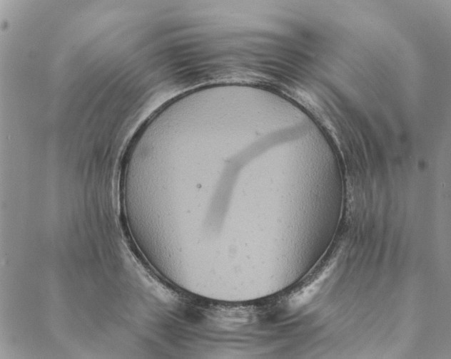 X0000088400843200706121233