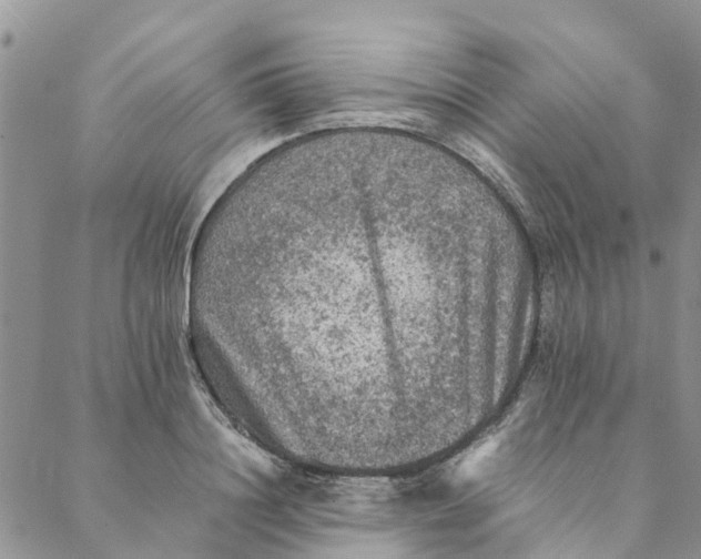 X0000088400844200706121233