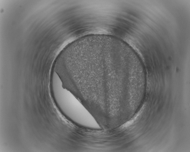 X0000088400845200706121233