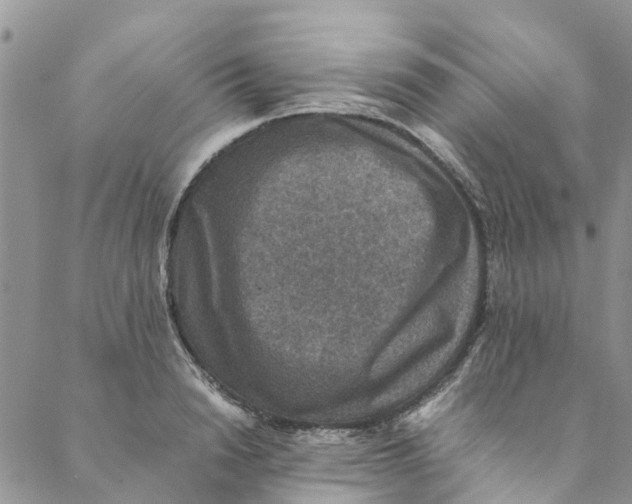 X0000088400846200706121233