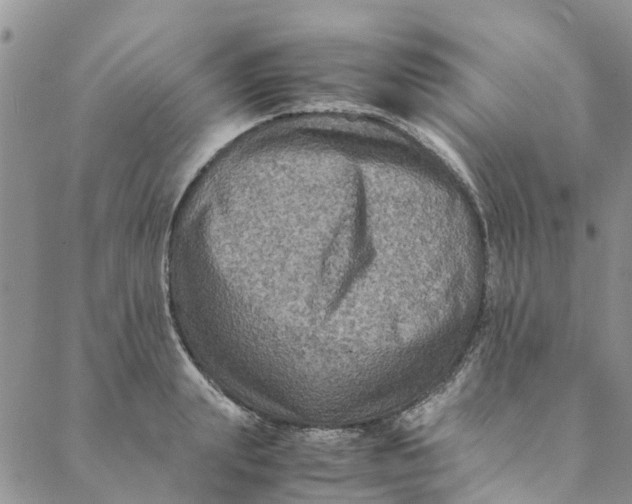 X0000088400847200706121233