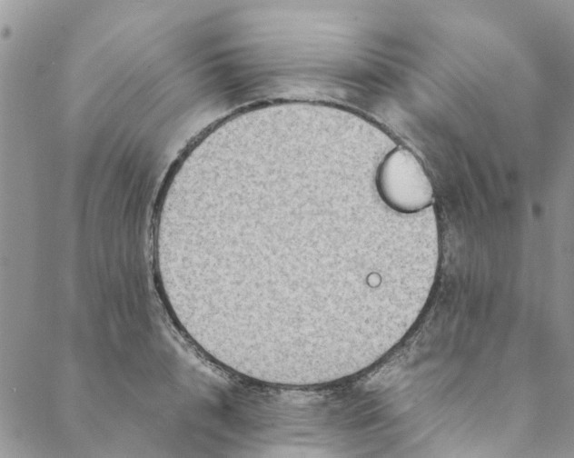 X0000088400848200706121233