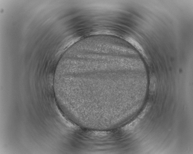 X0000088400849200706121233