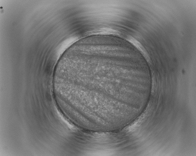 X0000088400850200706121233