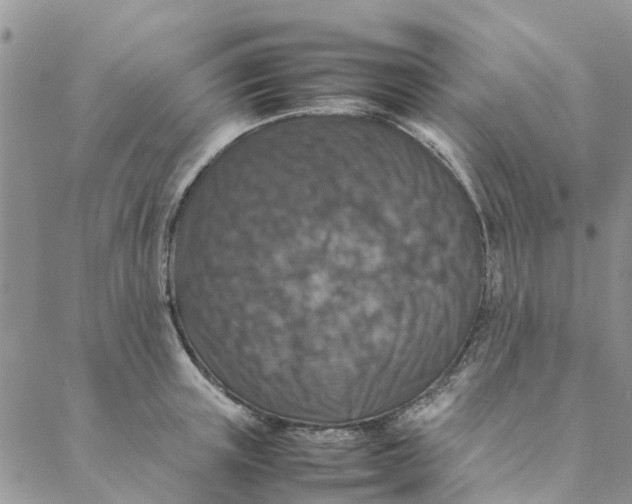 X0000088400851200706121233