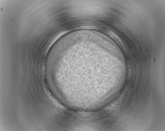 X0000088400852200706121233