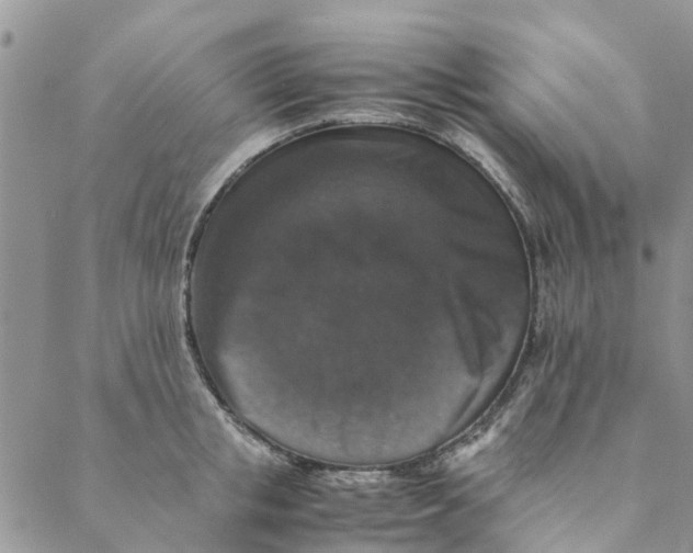 X0000088400853200706121233