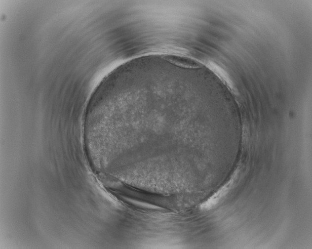 X0000088400854200706121233