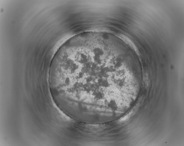 X0000088400855200706121233