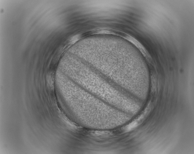 X0000088400857200706121233