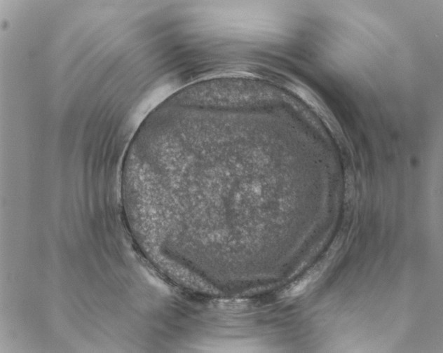 X0000088400858200706121233