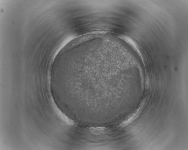 X0000088400859200706121233