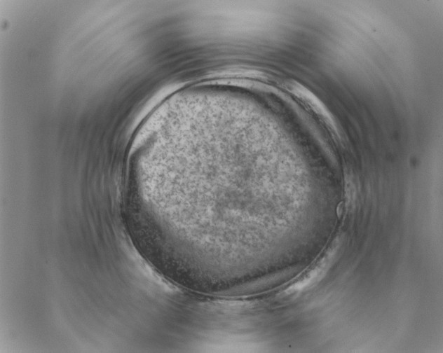 X0000088400860200706121233