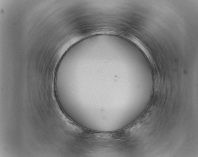 X0000088400861200706121233